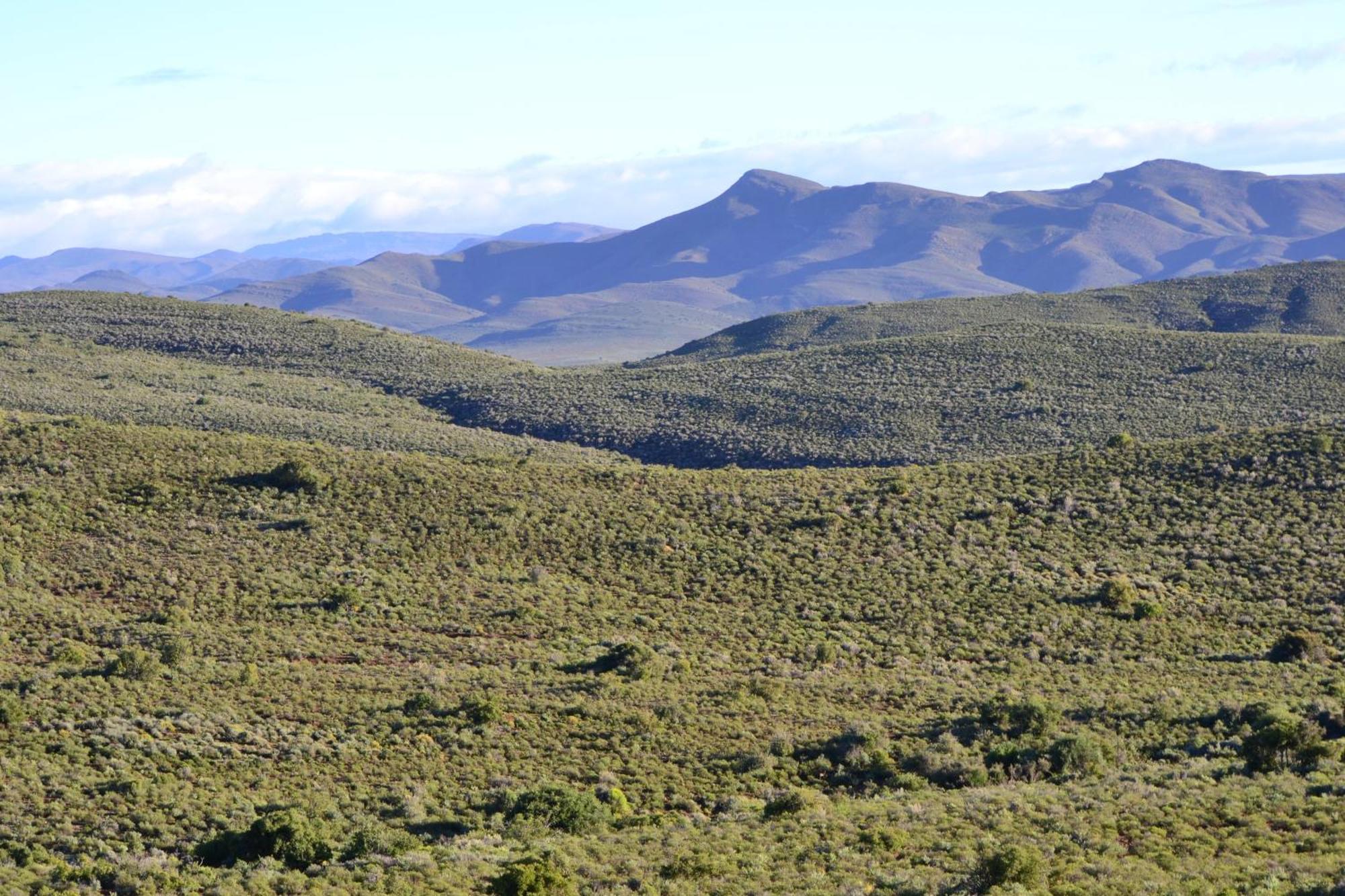 Mont Eco Game Reserve Montagu Luaran gambar